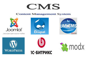 What is cms