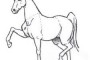 How to draw a horse?